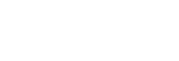 FLYSTORK